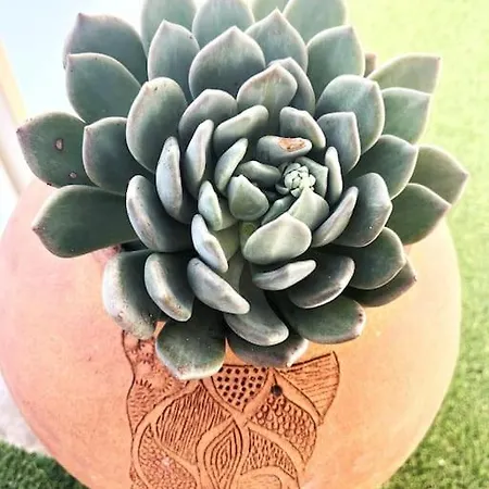 Magnifique 2p Vue Terrasse Parking Апартаменты Жуан-ле-Пен