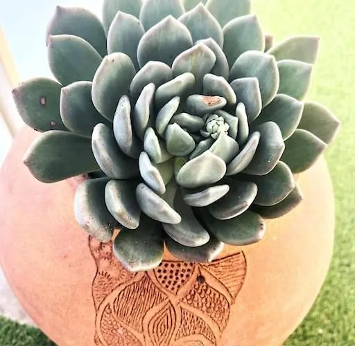 Magnifique 2p Vue Terrasse Parking Апартаменти Жюан-ле-Пен